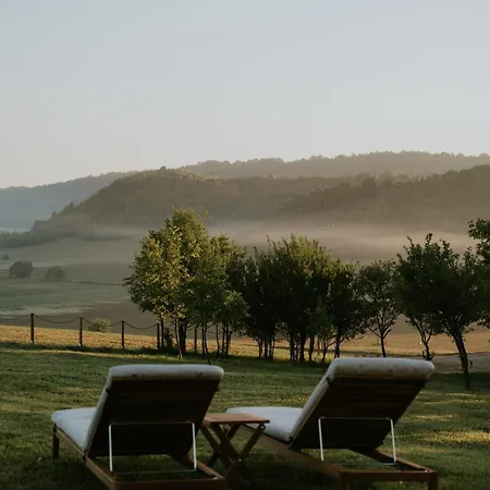 Feelmore Tiny House *